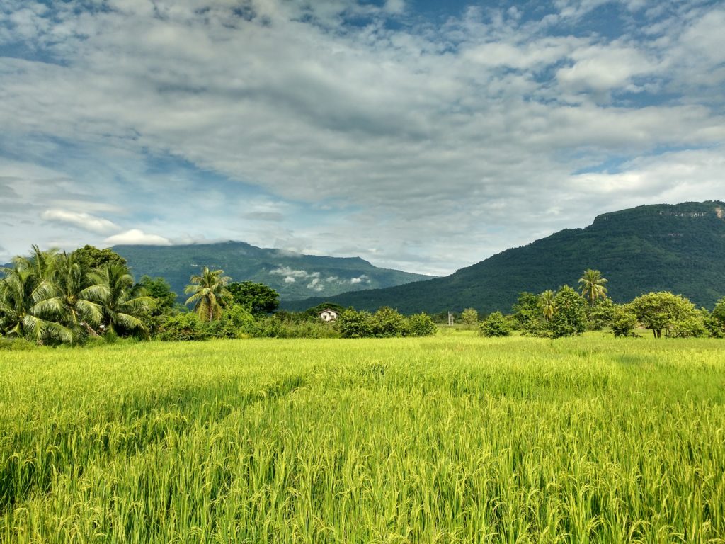 Sur la route vers Pakse