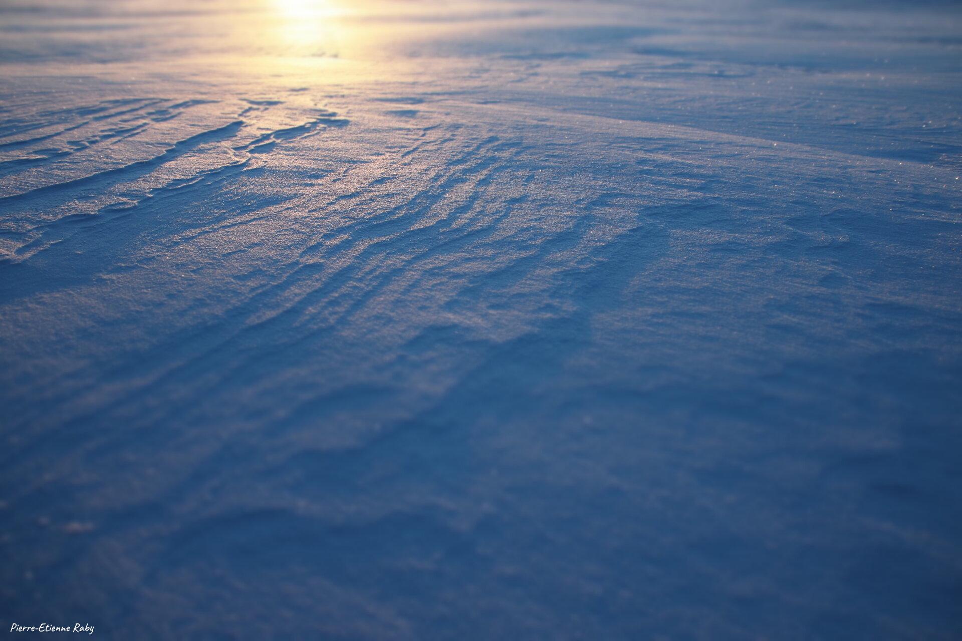 Croûte neigeuse formé par le vent sur le lac Ruokusjärvi (Suède)