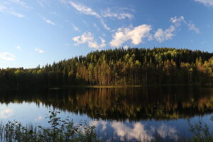 Lac et forêt en Suède