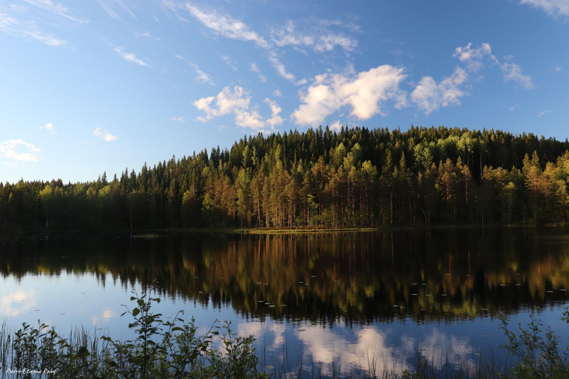 Lac et forêt en Suède