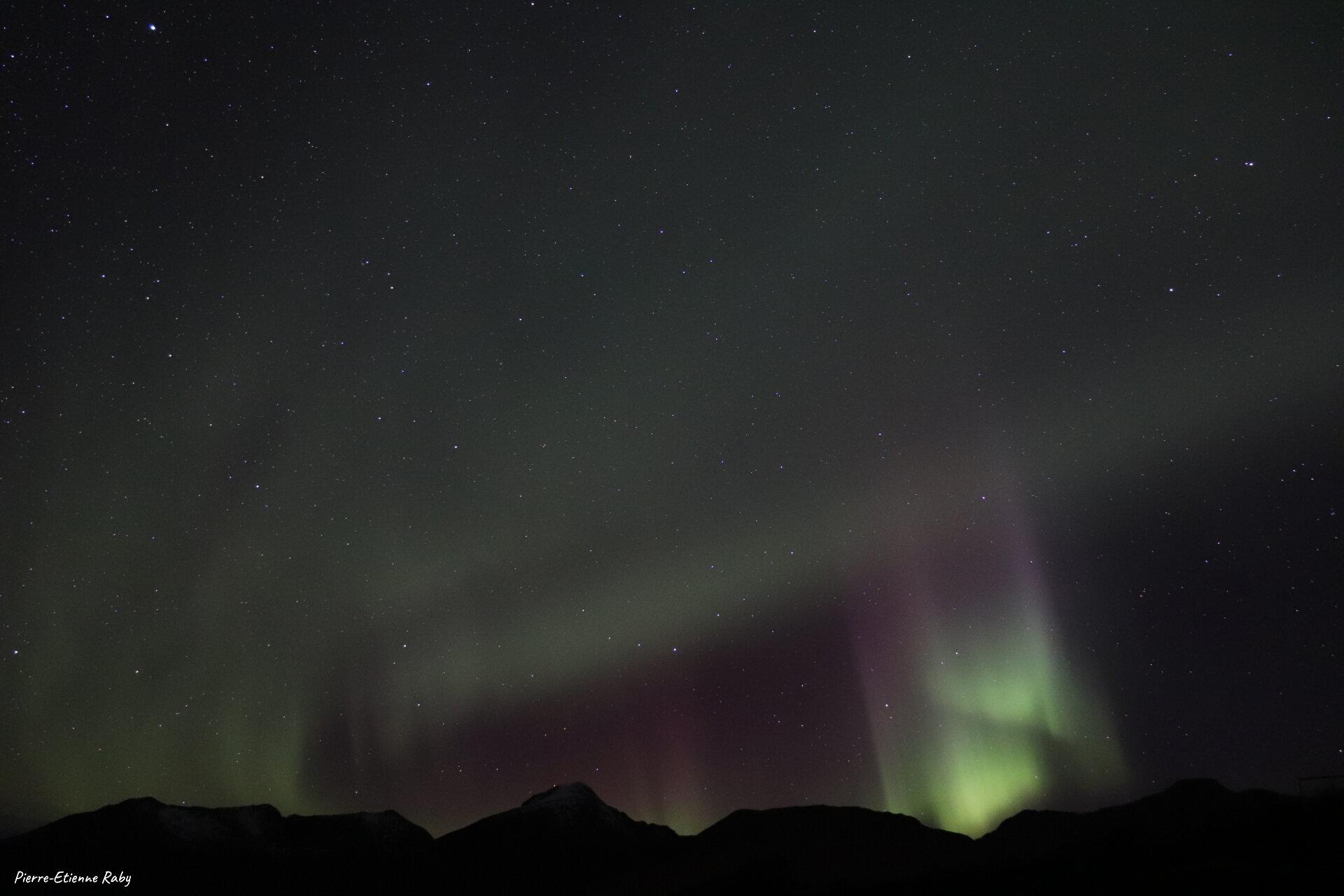 Aurore boréale à Senja (Norvège)