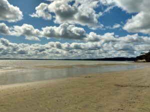 Plage de Point Chevalier, à Auckland (Nouvelle-Zélande)