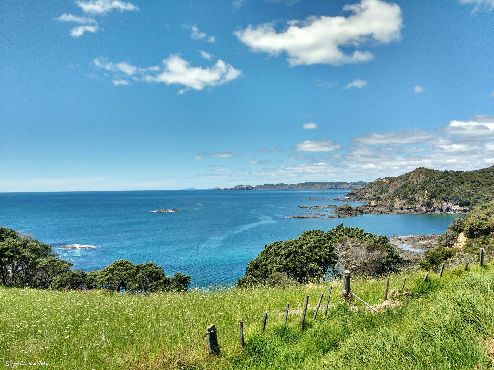 Point de vue depuis Paihia (Nouvelle-Zélande)