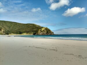 Plage près de Cape Reinga (Nouvelle-Zélande)