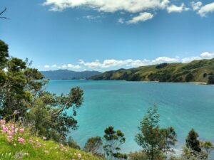 Péninsule de Coromandel (Nouvelle-Zélande)