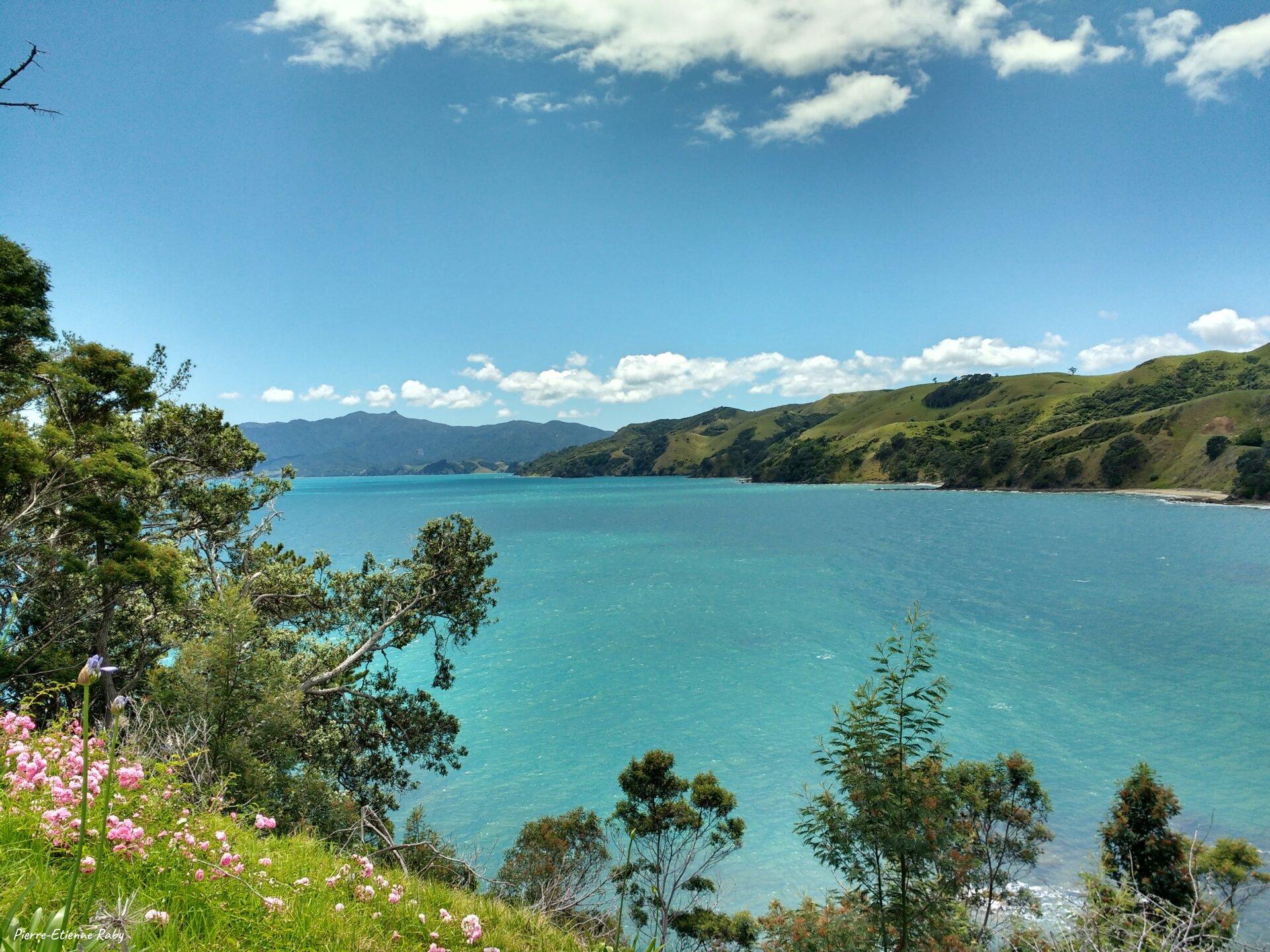 Péninsule de Coromandel (Nouvelle-Zélande)