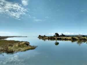 Point de vue depuis Collingwood (Nouvelle-Zélande)