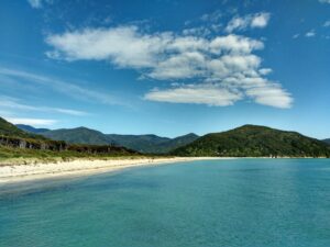 Sur les côtes du parc national Abel Tasman (Nouvelle-Zélande)