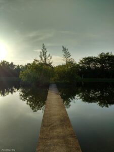 Chemin sur un lac à Suan Mokkh (Thaïlande)