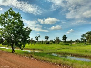 Campagne cambodgienne